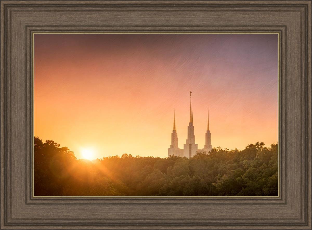 Washington DC Sunset Gold