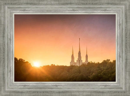 Washington DC Sunset Gold