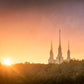 Washington DC Sunset Gold