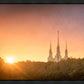 Washington DC Sunset Gold