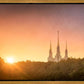 Washington DC Sunset Gold