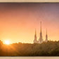 Washington DC Sunset Gold