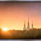 Washington DC Sunset Gold