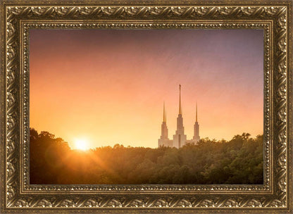 Washington DC Sunset Gold