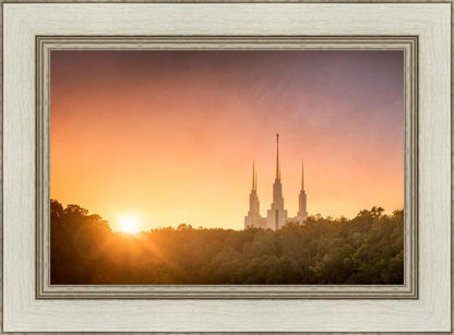Washington DC Sunset Gold