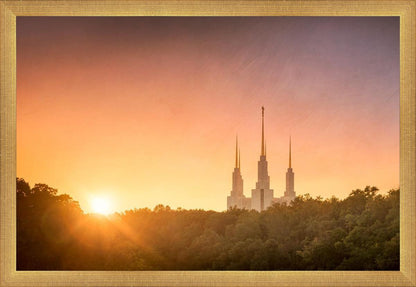 Washington DC Sunset Gold