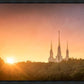 Washington DC Sunset Gold