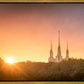 Washington DC Sunset Gold