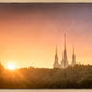 Washington DC Sunset Gold