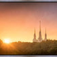 Washington DC Sunset Gold