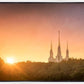 Washington DC Sunset Gold