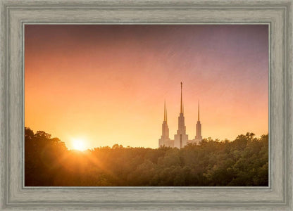 Washington DC Sunset Gold