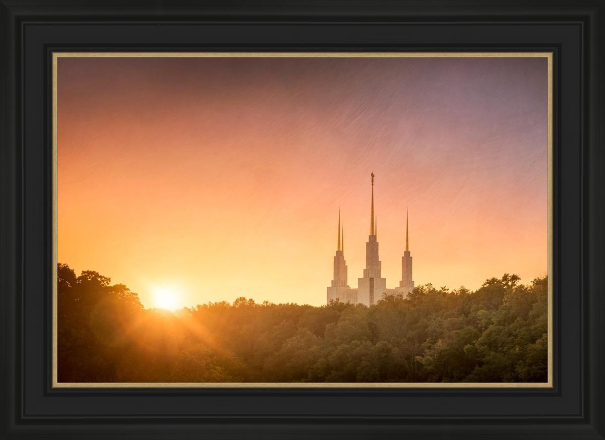 Washington DC Sunset Gold