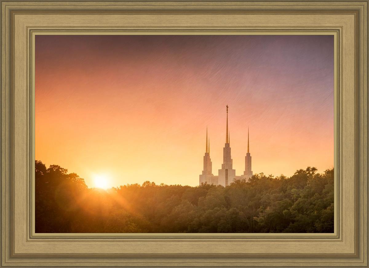 Washington DC Sunset Gold