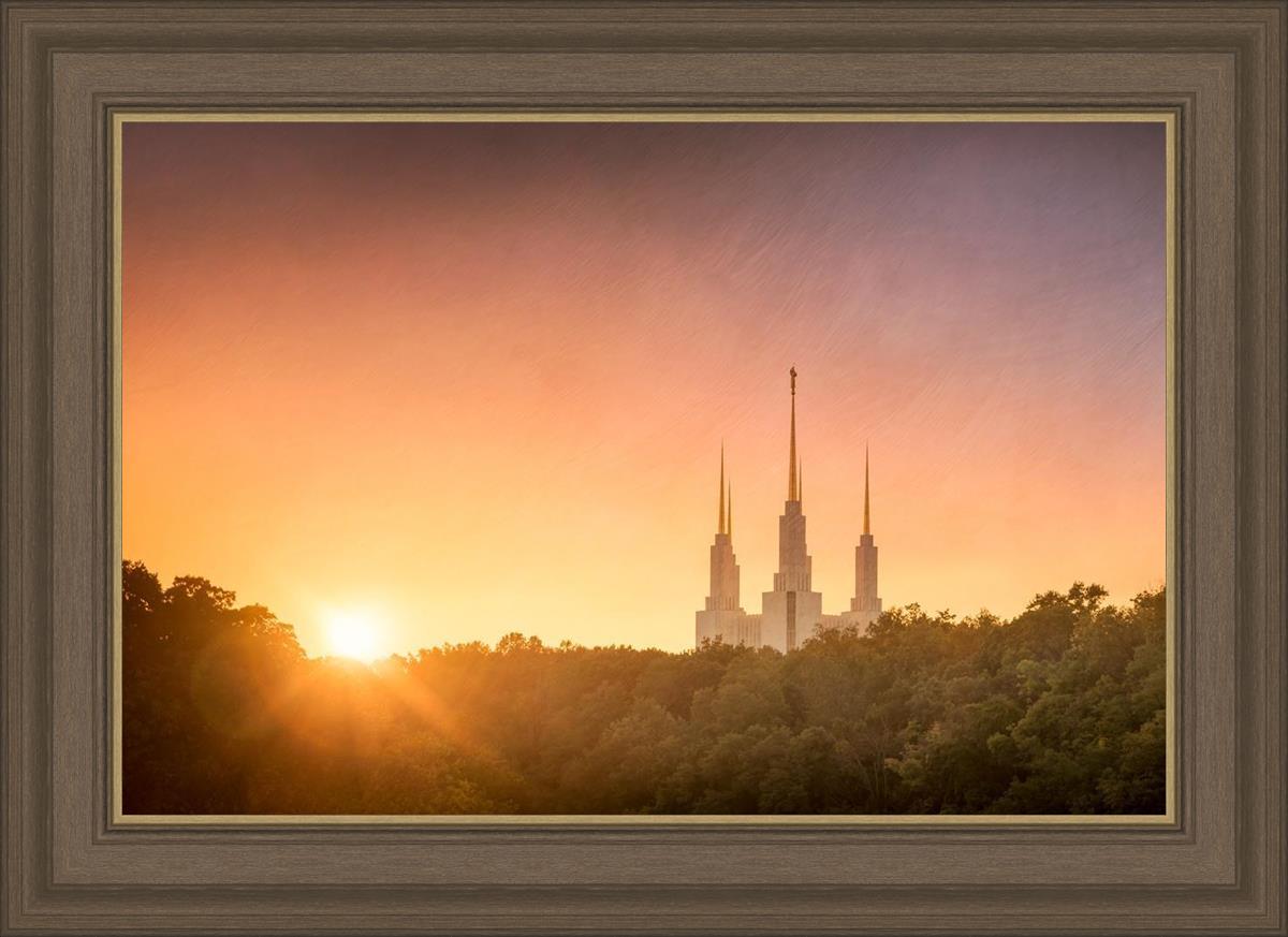Washington DC Sunset Gold