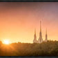 Washington DC Sunset Gold