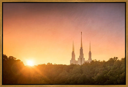 Washington DC Sunset Gold