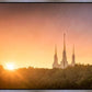 Washington DC Sunset Gold