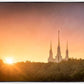 Washington DC Sunset Gold