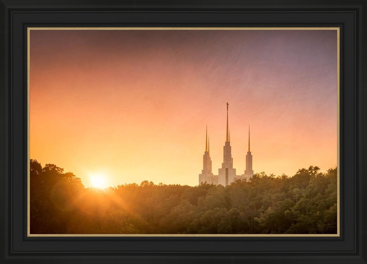 Washington DC Sunset Gold