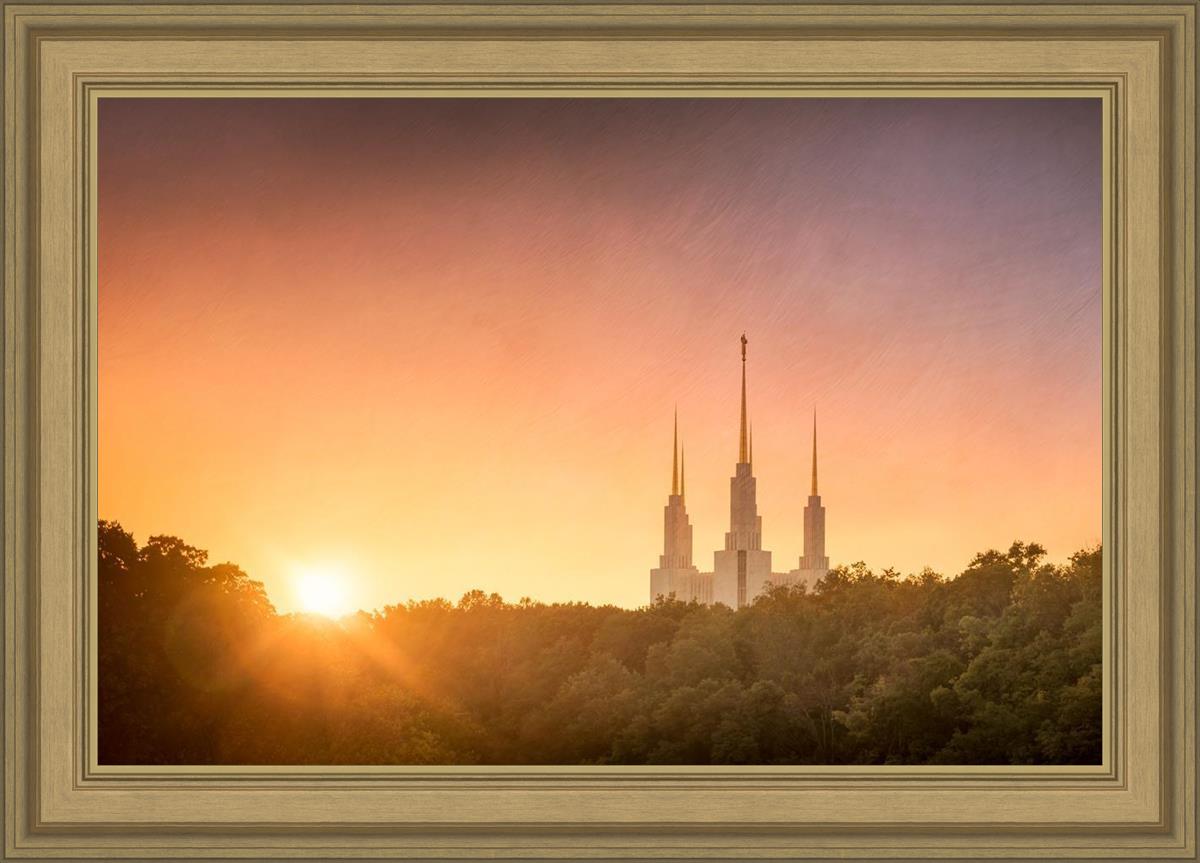 Washington DC Sunset Gold