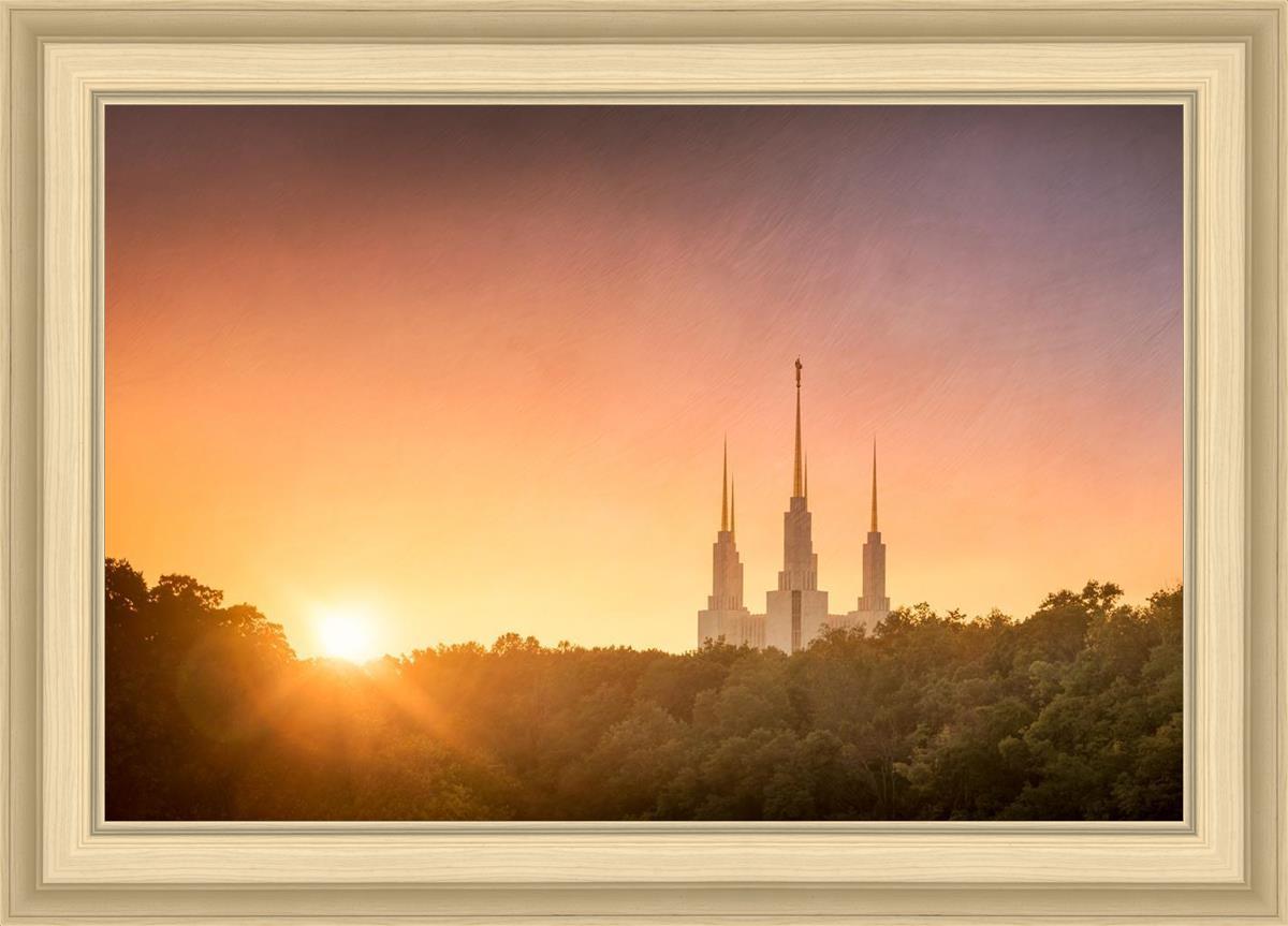 Washington DC Sunset Gold