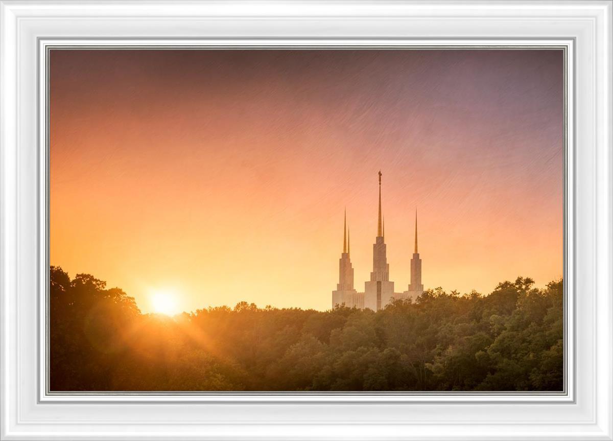 Washington DC Sunset Gold