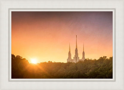 Washington DC Sunset Gold