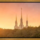 Washington DC Sunset Gold