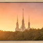 Washington DC Sunset Gold