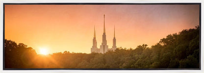 Washington DC Sunset Gold