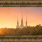 Washington DC Sunset Gold