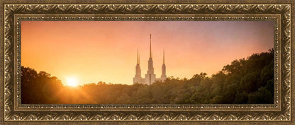 Washington DC Sunset Gold