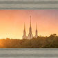 Washington DC Sunset Gold