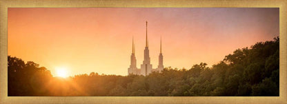 Washington DC Sunset Gold