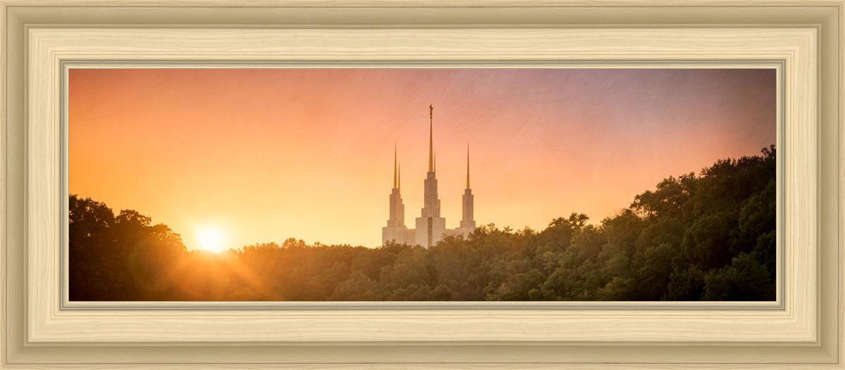 Washington DC Sunset Gold