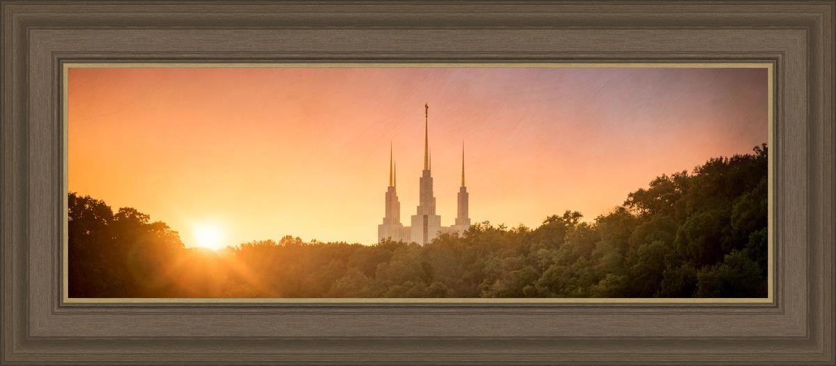 Washington DC Sunset Gold