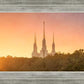 Washington DC Sunset Gold