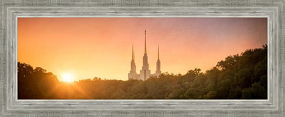 Washington DC Sunset Gold