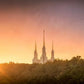 Washington DC Sunset Gold
