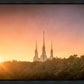 Washington DC Sunset Gold