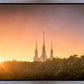 Washington DC Sunset Gold