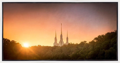 Washington DC Sunset Gold