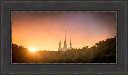 Washington DC Sunset Gold