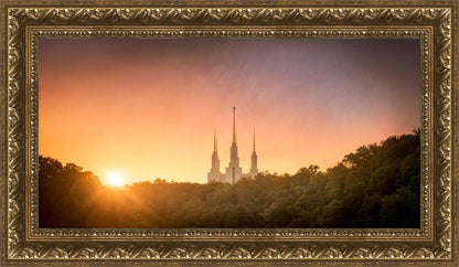 Washington DC Sunset Gold