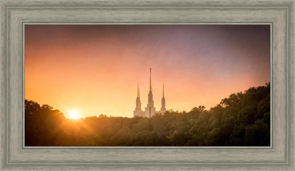 Washington DC Sunset Gold