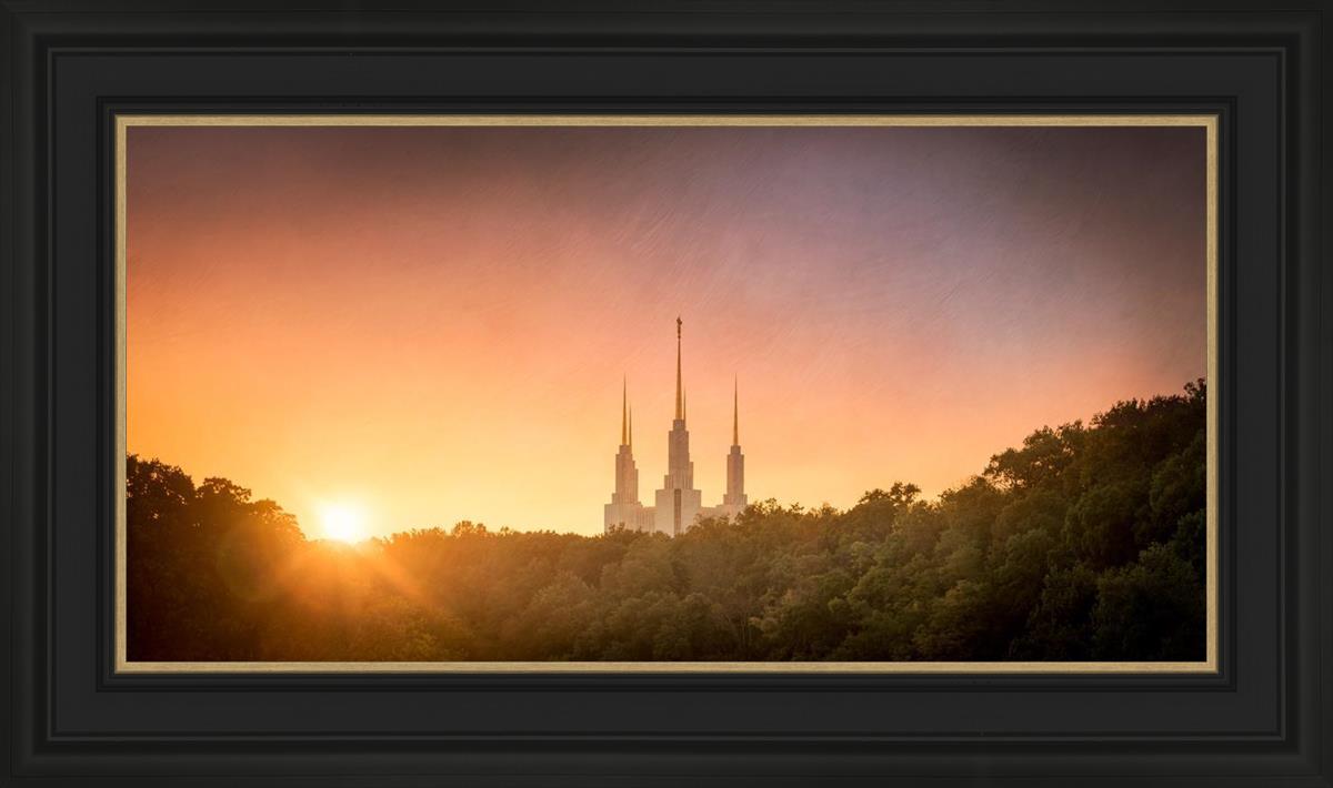 Washington DC Sunset Gold