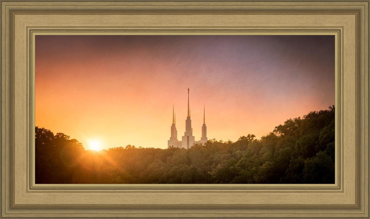 Washington DC Sunset Gold