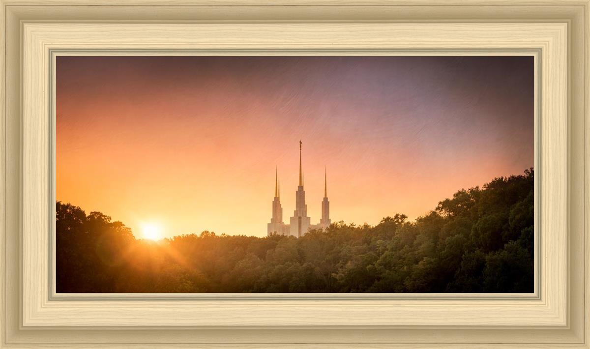 Washington DC Sunset Gold