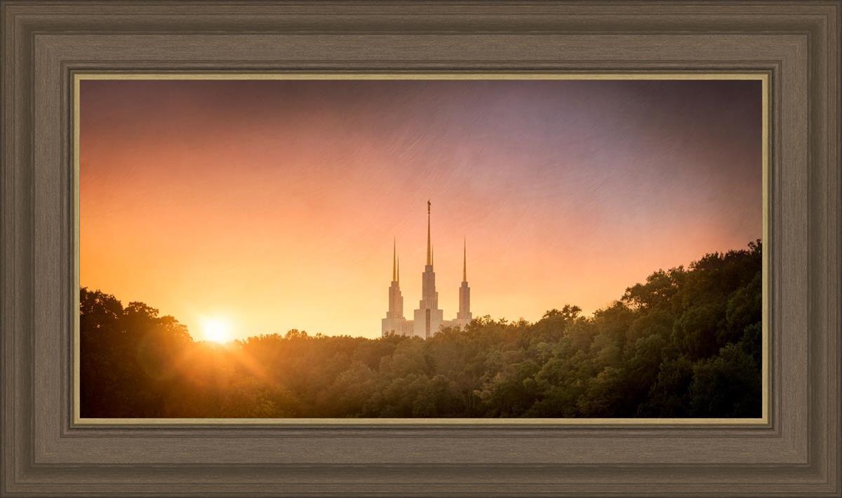Washington DC Sunset Gold